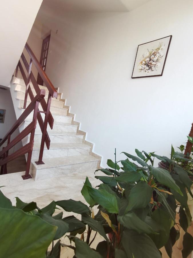נובי ווינודולסקי Apartment Kamen מראה חיצוני תמונה